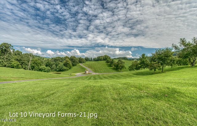 Lot 10 Dry Hill Road, Butler, TN 37640