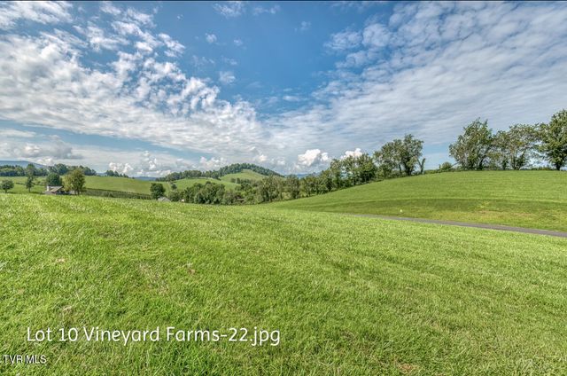 Lot 10 Dry Hill Road, Butler, TN 37640