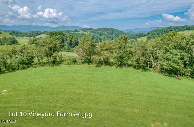 Lot 10 Dry Hill Road, Butler, TN 37640