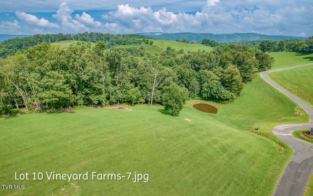 Lot 10 Dry Hill Road, Butler, TN 37640