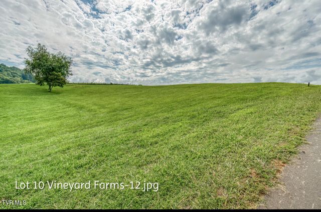 Lot 10 Dry Hill Road, Butler, TN 37640