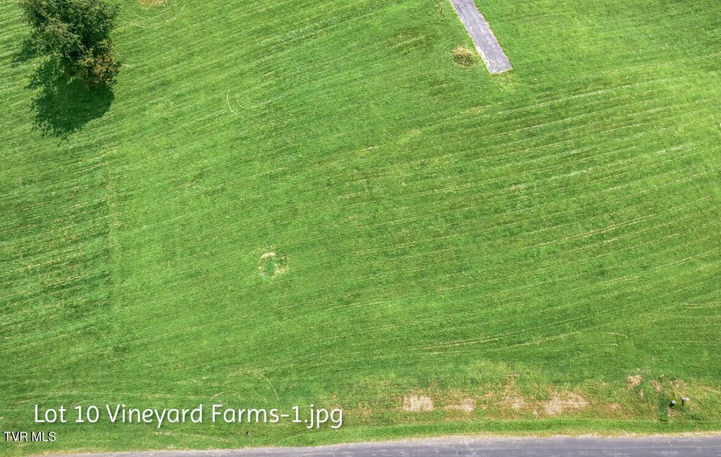 Lot 10 Dry Hill Road, Butler, TN 37640