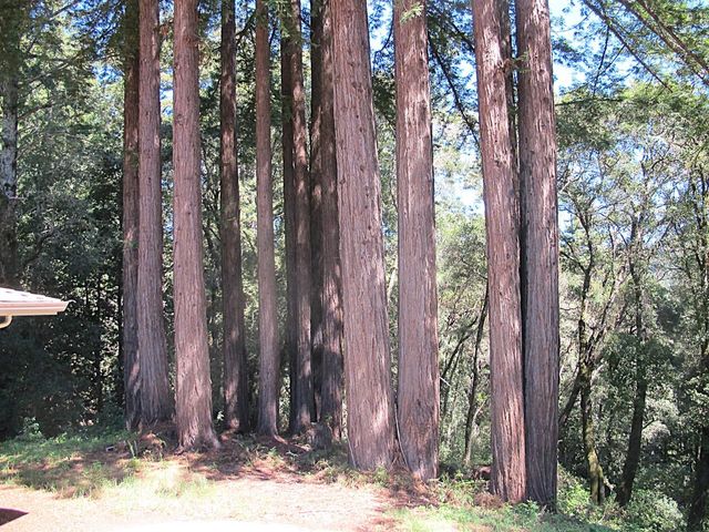 300 Winona Way, Aptos, CA 95003