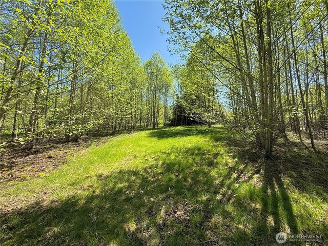 3809 Cabrant Road, Everson, WA 98247