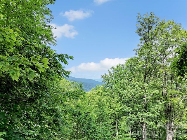 3214 Big Laurel Road, Waynesville, NC 28785