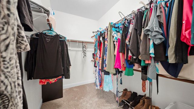 23834 Willow Haven Drive, Spring, TX 77389