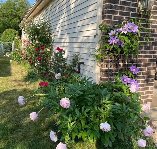 630 Cobblestone Lane, Buffalo Grove, IL 60089