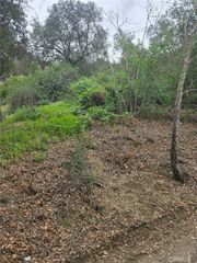 16872 Sumach, Chino Hills, CA 91709