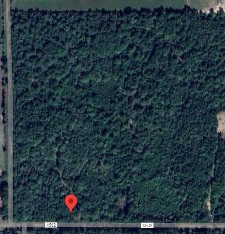 560 County Road 4502, Hillister, TX 77624