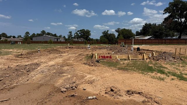 19206 Wright Falls, Spring, TX 77379