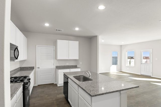 19206 Wright Falls, Spring, TX 77379