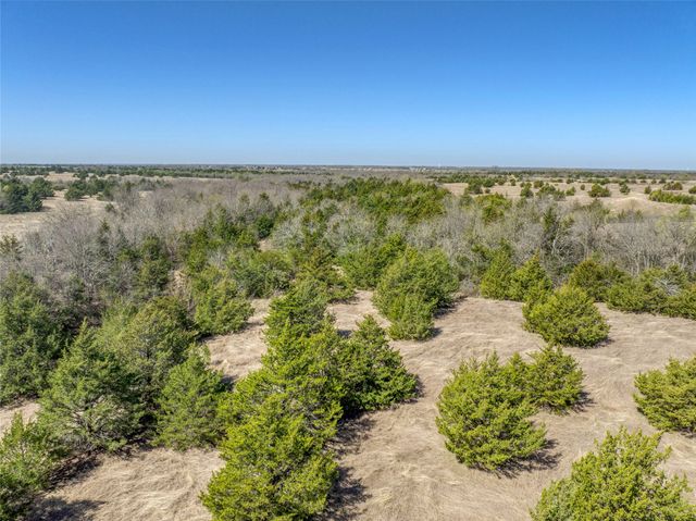 Tract 5 County Road 2935, Dodd City, TX 75438