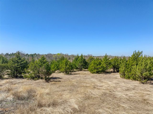 Tract 5 County Road 2935, Dodd City, TX 75438