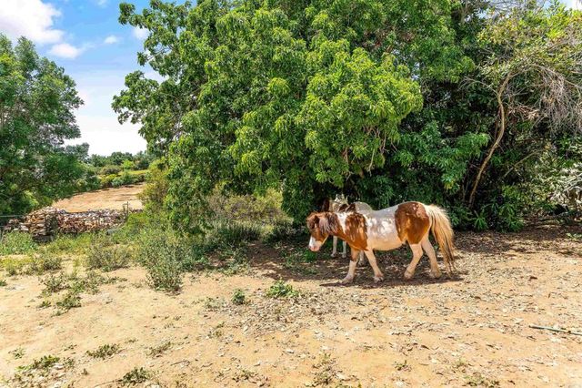 2163 Gracey Lane, Fallbrook, CA 92028