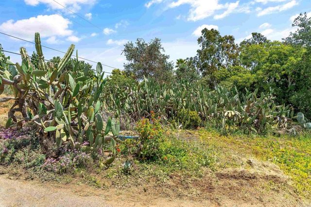 2163 Gracey Lane, Fallbrook, CA 92028