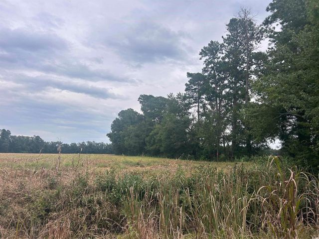 TBD Shelley Path, Loris, SC 29569