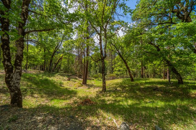 6691 Reading Creek Road, Douglas City, CA 96024