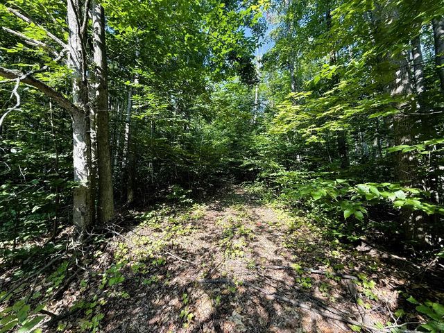 13218 NE Heller Court, Kalkaska, MI 49646