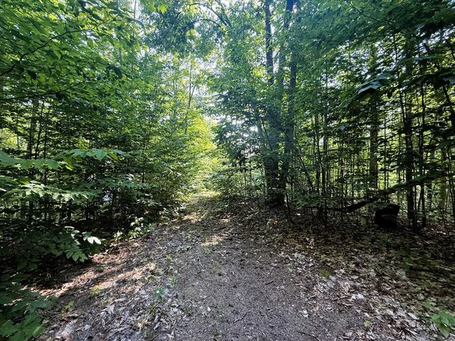 13218 NE Heller Court, Kalkaska, MI 49646