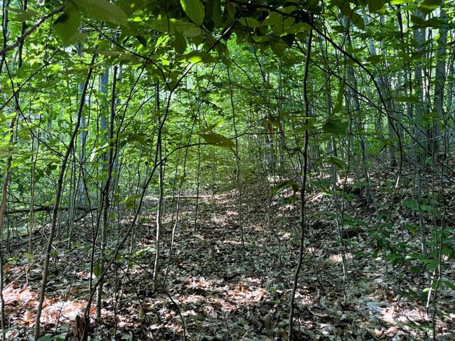 13218 NE Heller Court, Kalkaska, MI 49646