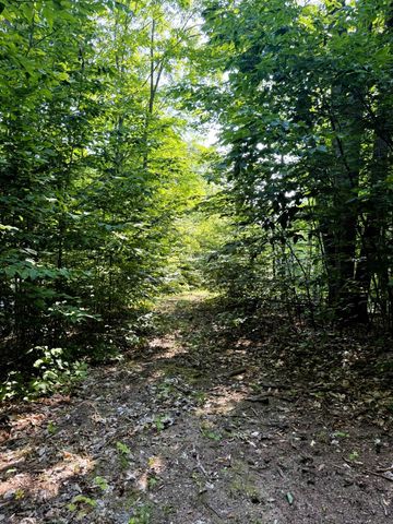 13218 NE Heller Court, Kalkaska, MI 49646