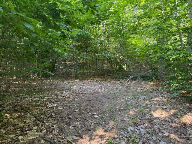 13218 NE Heller Court, Kalkaska, MI 49646