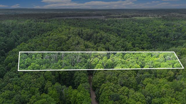 13218 NE Heller Court, Kalkaska, MI 49646