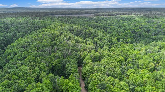 13218 NE Heller Court, Kalkaska, MI 49646