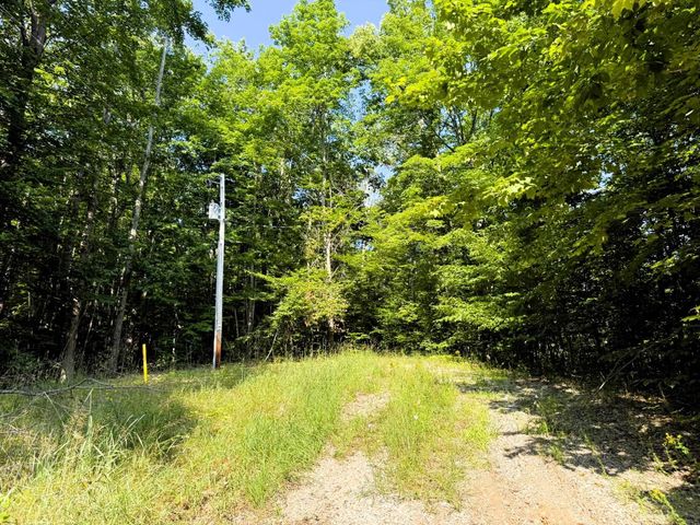 13218 NE Heller Court, Kalkaska, MI 49646