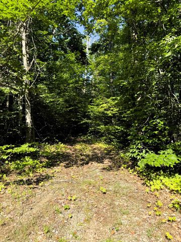 13218 NE Heller Court, Kalkaska, MI 49646