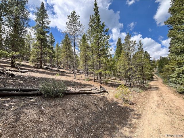 66 Ponderosa Drive, Leadville, CO 80461