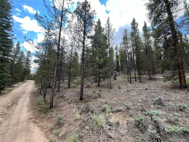 66 Ponderosa Drive, Leadville, CO 80461