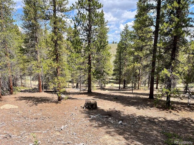 66 Ponderosa Drive, Leadville, CO 80461