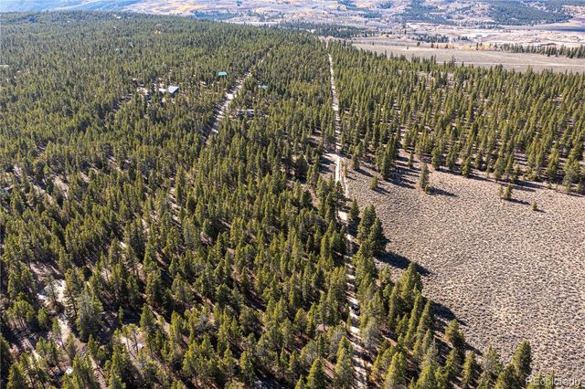 66 Ponderosa Drive, Leadville, CO 80461