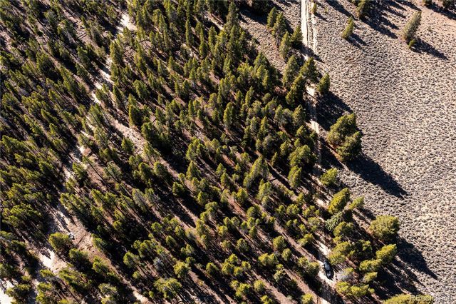 66 Ponderosa Drive, Leadville, CO 80461