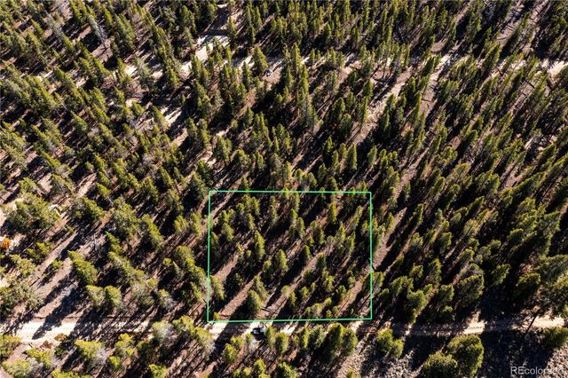 66 Ponderosa Drive, Leadville, CO 80461