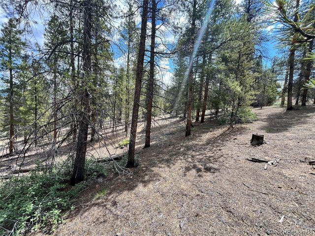 66 Ponderosa Drive, Leadville, CO 80461