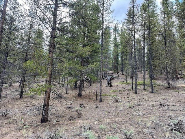 66 Ponderosa Drive, Leadville, CO 80461