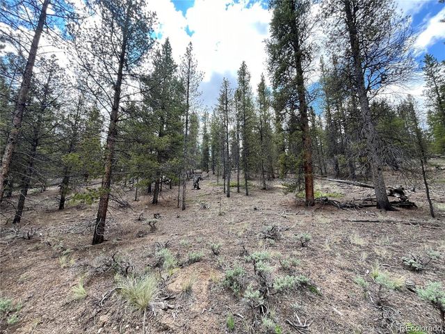 66 Ponderosa Drive, Leadville, CO 80461