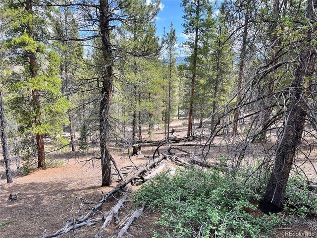 66 Ponderosa Drive, Leadville, CO 80461