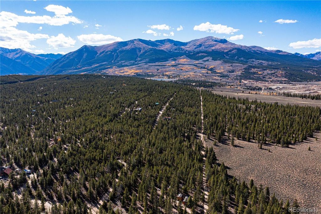 66 Ponderosa Drive, Leadville, CO 80461