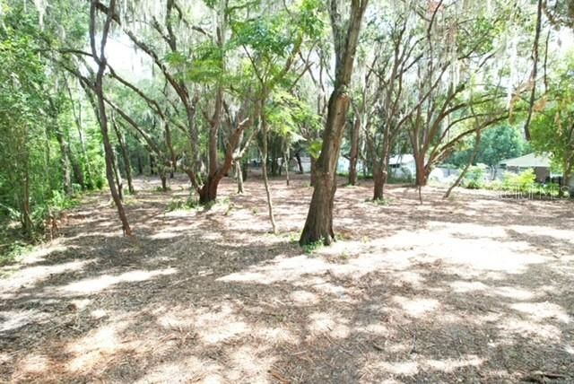 E HWY 25, Ocklawaha, FL 32179