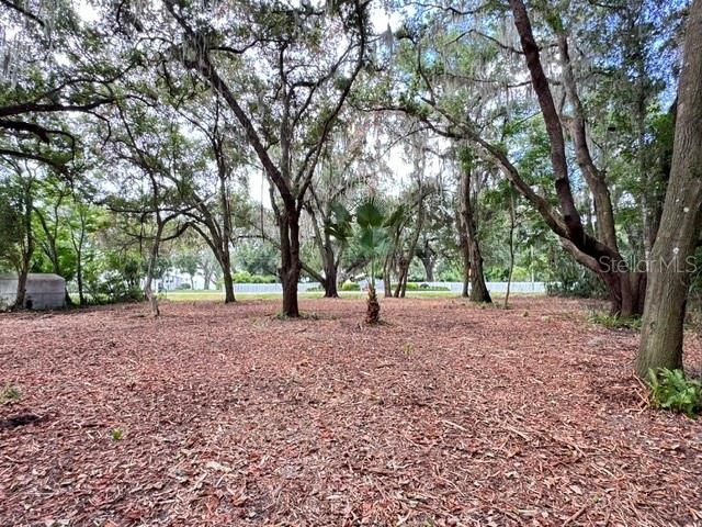 E HWY 25, Ocklawaha, FL 32179