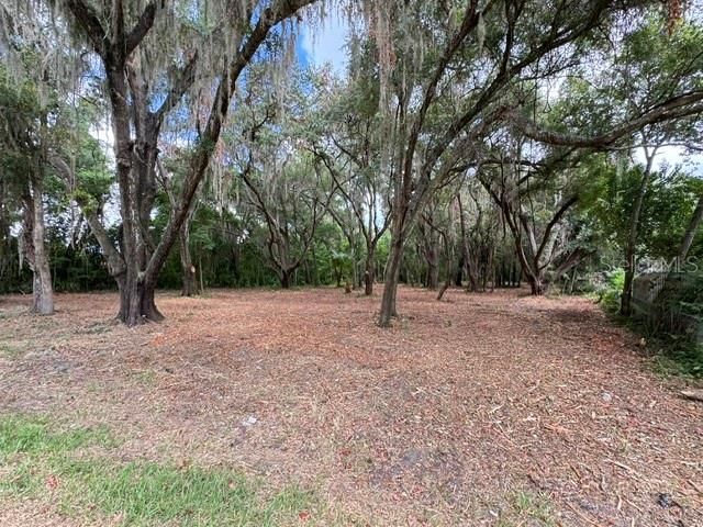 E HWY 25, Ocklawaha, FL 32179