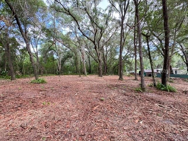 E HWY 25, Ocklawaha, FL 32179