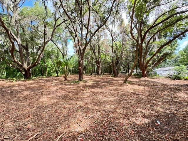 E HWY 25, Ocklawaha, FL 32179