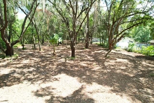 E HWY 25, Ocklawaha, FL 32179