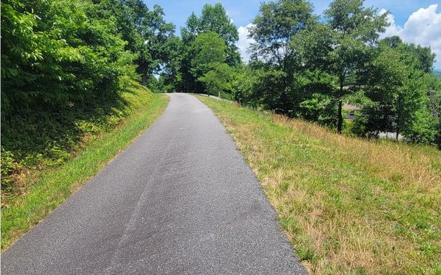 24 Mountain Knoll Lane, Warne, NC 28909