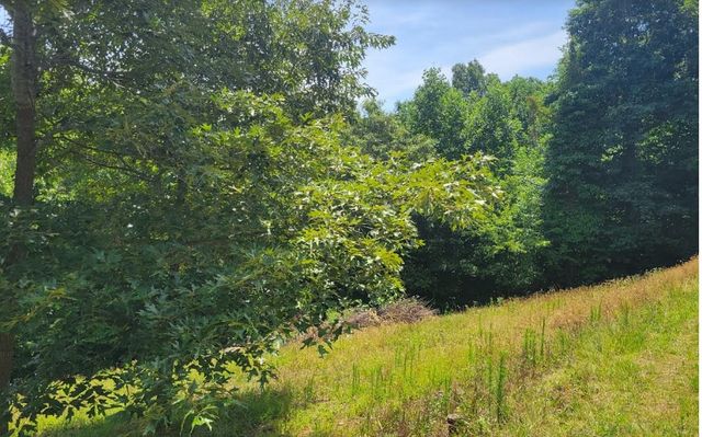 24 Mountain Knoll Lane, Warne, NC 28909