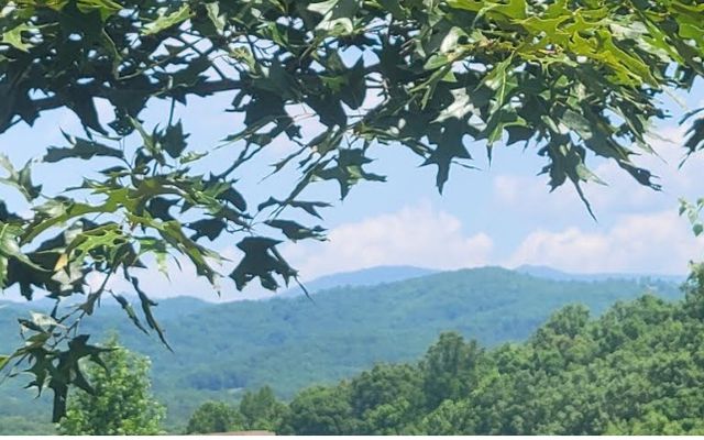 24 Mountain Knoll Lane, Warne, NC 28909